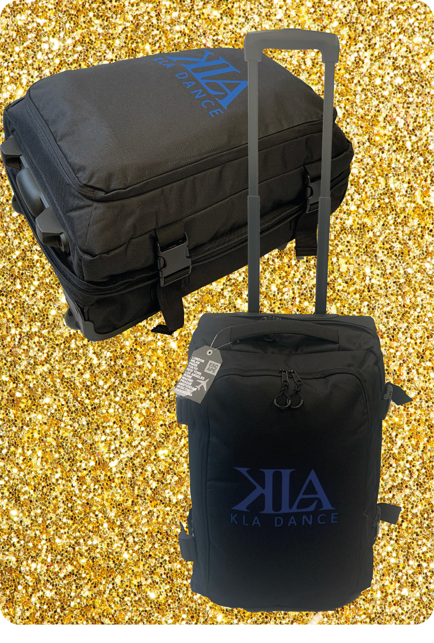Cases & Bags