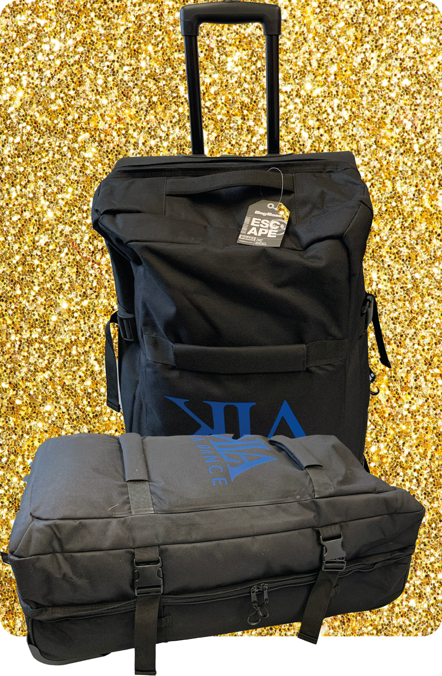 Cases & Bags